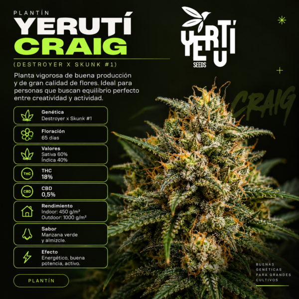 Plantin Craig - 1439