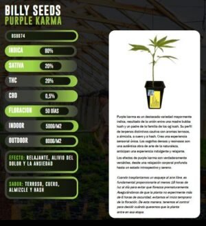 Esqueje BSOD74 Purple Karma - Billy Seeds + Estampilla Inase