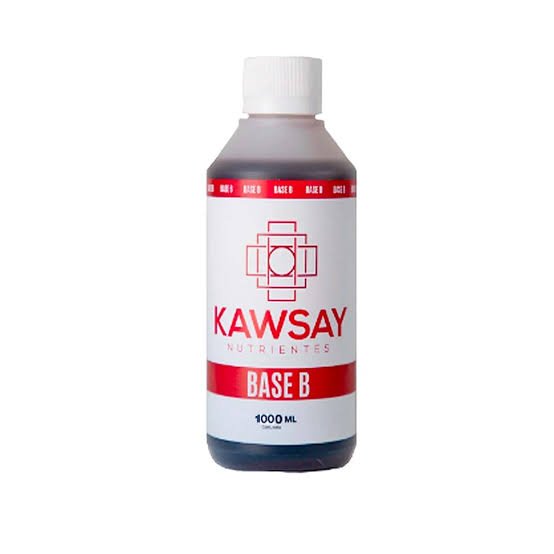 Kawsay Base B 1L