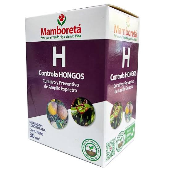 WG-000369.jpg Mamboreta H 30gr
