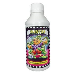 WG-000385.jpg Mantra Algafishum Nodosum 250ml