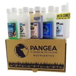 WG-000428.webp Pangea Kit Profesional