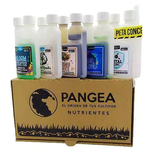 Pangea Kit Profesional