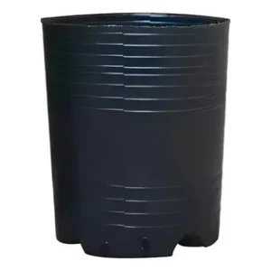 WG-000572.webp Sopladas 10L