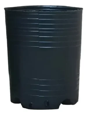 WG-000574.webp Sopladas 1L