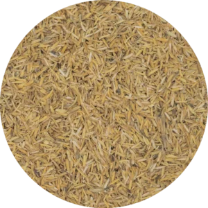 Cannabunker Cascarilla de Arroz s/ Tostar 20L