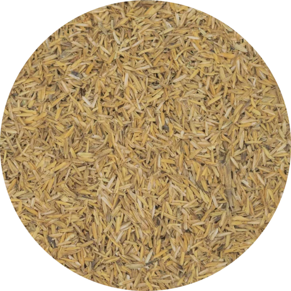 WG-001377.webp Cannabunker Cascarilla de Arroz s/ Tostar 20L