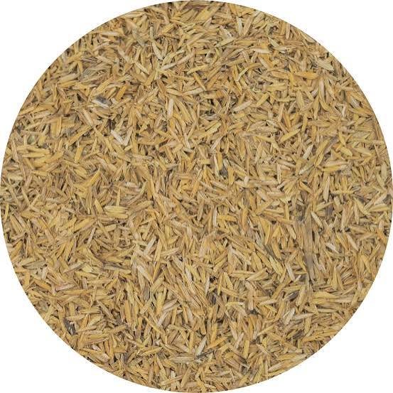 Cannabunker Cascarilla de Arroz s/ Tostar 50L