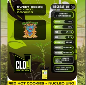 Esqueje Nucleo Uno - Red Hot + Estampilla Inase