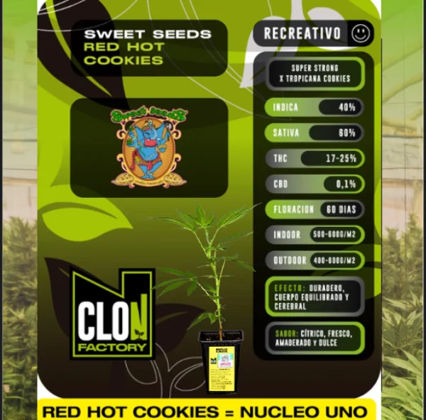Esqueje Nucleo Uno - Red Hot + Estampilla Inase