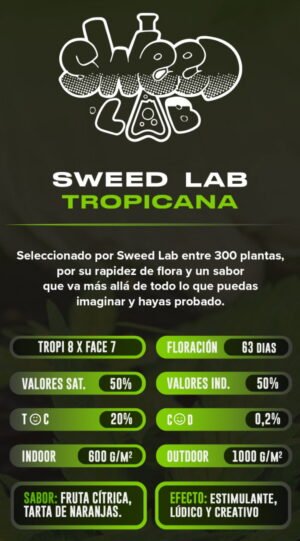 Esqueje Tropicana WFC - SweedLab + Estampilla Inase