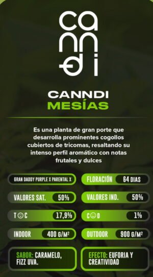 Esqueje Mesias - Canndi + Estampilla Inase