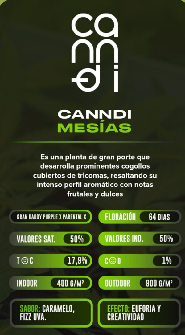 Esqueje Mesias - Canndi + Estampilla Inase