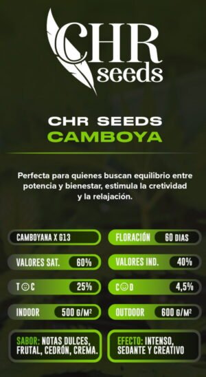 Esqueje Camboya - CHR Seeds + Estampilla Inase