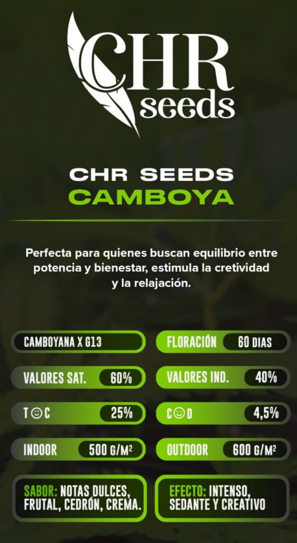 Esqueje Camboya - CHR Seeds + Estampilla Inase