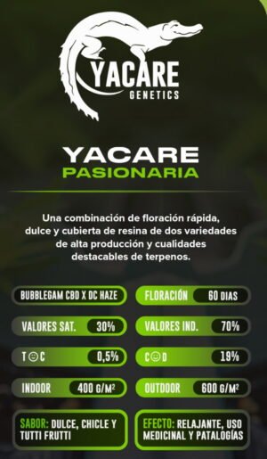 Esqueje Pasionaria CBD - Yacare Genetics + Estampilla Inase