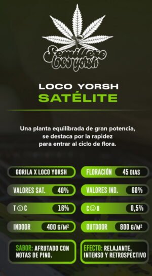 Esqueje Satelite - Loco Yorsh + Estampilla Inase