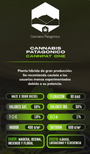 Esqueje Cannpat One - Cannabis Patagonico + Estampilla Inase