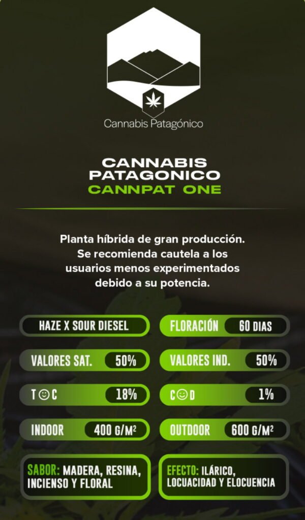 Esqueje Cannpat One - Cannabis Patagonico + Estampilla Inase