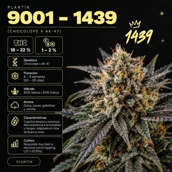 Plantin 9001 - 1439