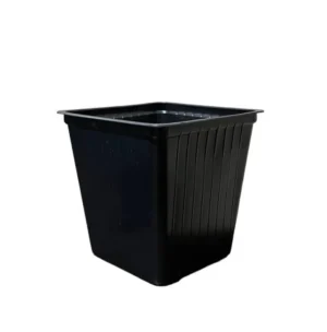shopping (2) Mini Plantin Grande