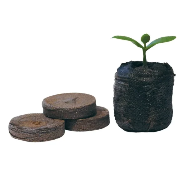 Jiffys Turba