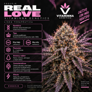 Esqueje Real Love - Vitaminna Genetics