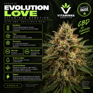 Esqueje Evolution Love - Vitaminna Genetics