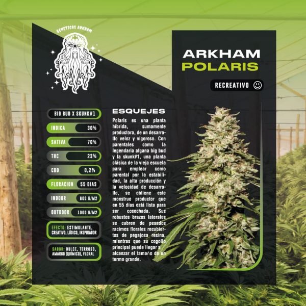 Esqueje Polaris - Arkham + Estampilla Inase
